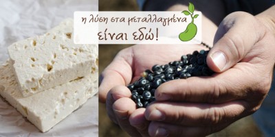 feta-adyen_400