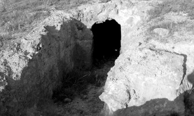 volimidia_2010_400