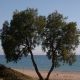 Ρωμανού 5