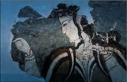 maecynaia
