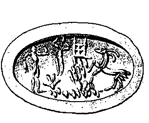 sfragidolithos