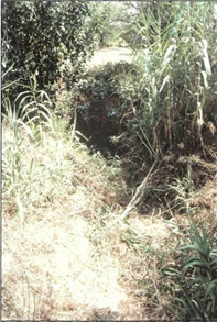 Tholos-tomb-at-Charatsari