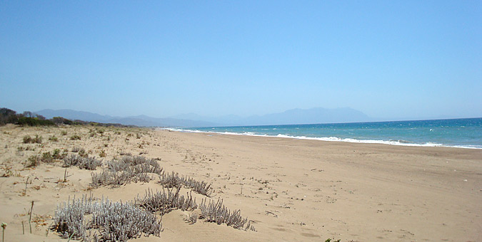 zaxaro